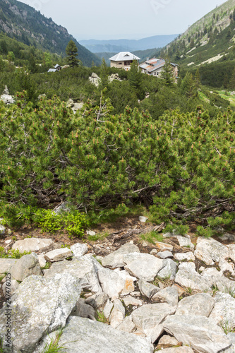 Dark clouds over Malyoviska river Valley, Rila Mountain, Bulgaria photo