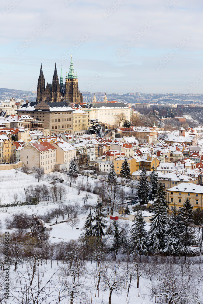 Obraz premium Snowy Prague City with gothic Castle from Hill Petrin in the sunny Day, Czech republic