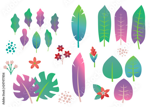 Set of gradient tropical leaves and flowers. Bright trendy colors. Vector