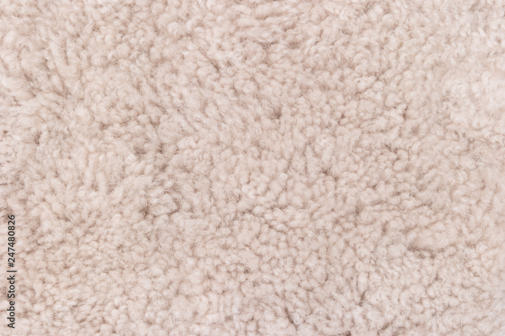 Close-up of the beige carpet texture background in the meeting room Close-up of the beige carpet texture background in the meeting room