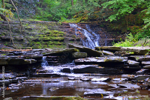 Salt Springs Waterfall in Pennsylvania