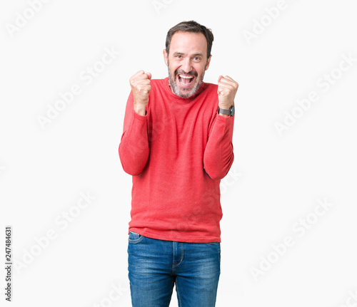 Handsome middle age hoary senior man wearing winter sweater over isolated background celebrating surprised and amazed for success with arms raised and open eyes. Winner concept.