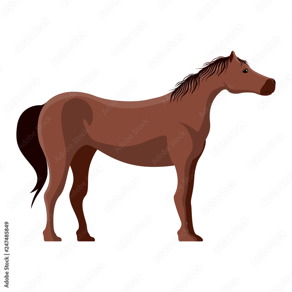 Isolated cute horse image. Vector illustration design