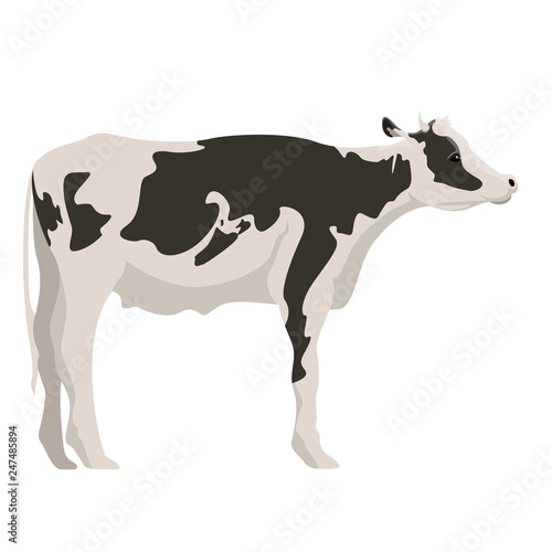 Isolated cute cow image. Vector illustration design
