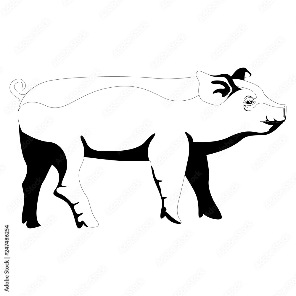 Isolated cute pig silhouette. Vector illustration design