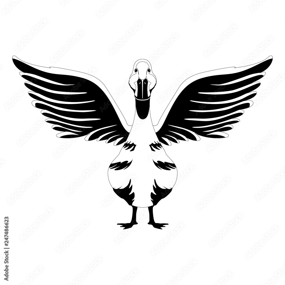 Fototapeta premium Front view of a duck. Silhouette. Vector illustration design