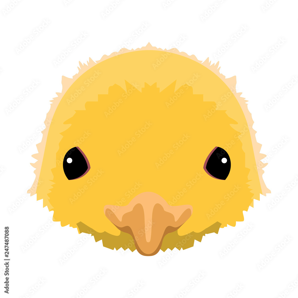 Isolated chicken head. Farm animal. Vector illustration design