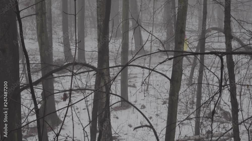 Woman nordic walking in the foggy forest winter time Woman nordic walking in the foggy forest winter time