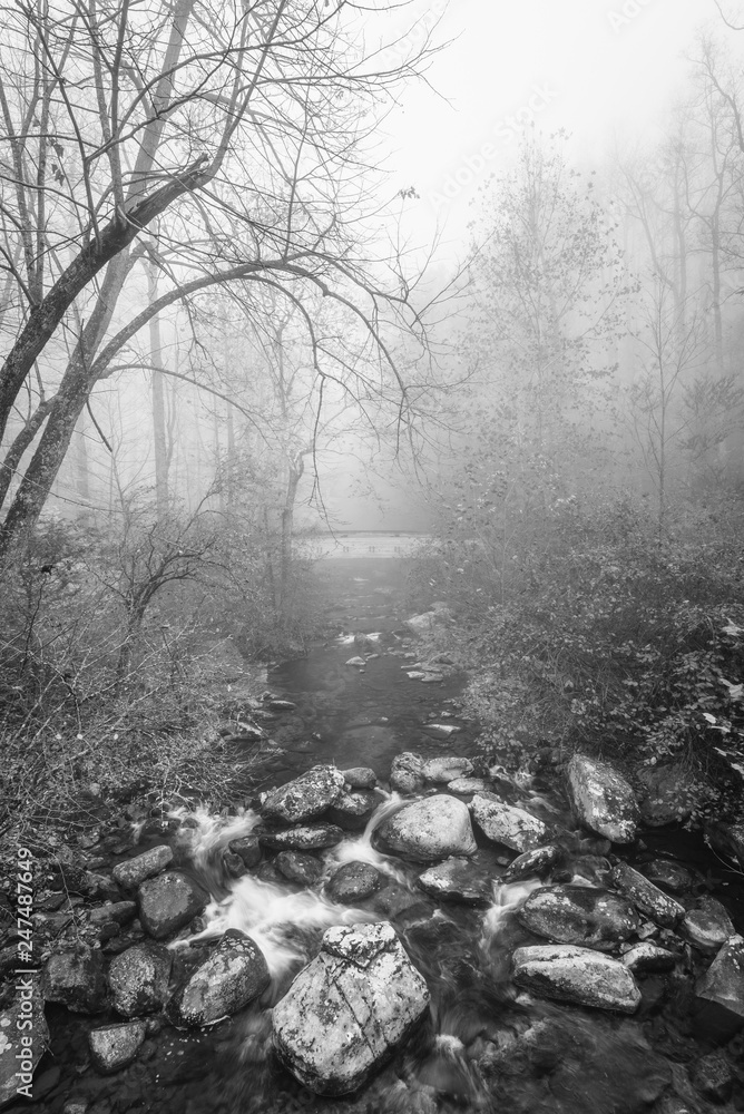 Naklejka premium Foggy autumn view of the Tye River, near Crabtree Falls, in George Washington National Forest, Virginia.