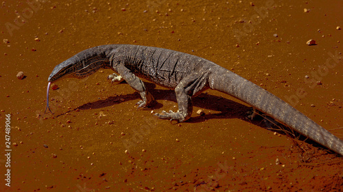 Quadro su tela Sand Monitor