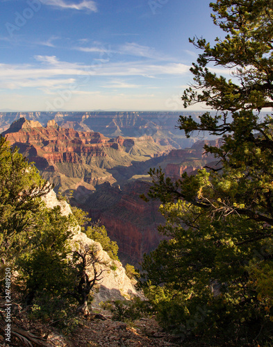 view of grand canyon in usa