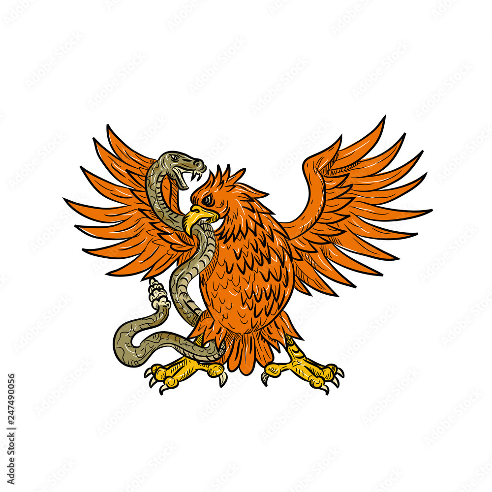 Fototapeta premium Drawing sketch style illustration of an American golden eagle, Mexican eagle or northern crested caracara grappling a rattlesnake, viper, snake or serpent in black and white on isolated background.