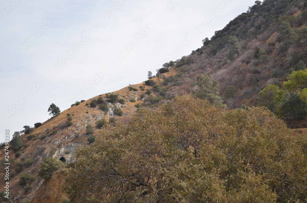 California Hills