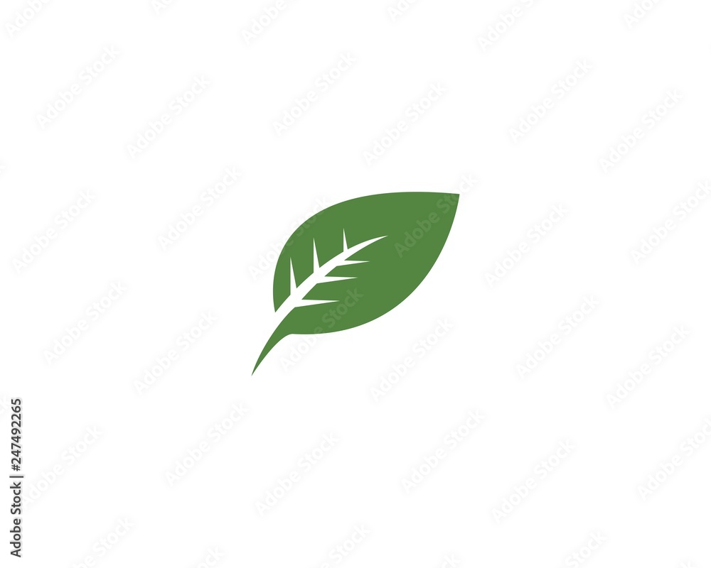 green leaf logo vector green leaf logo vector