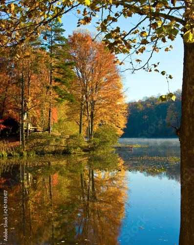 autumn in the park