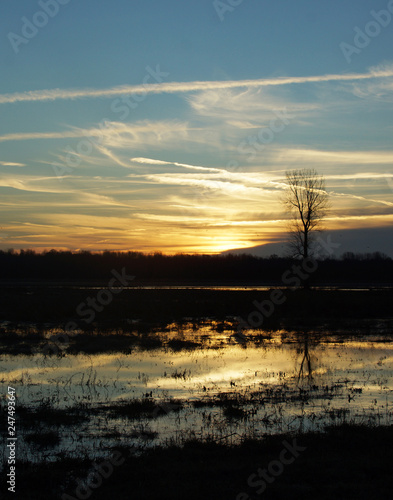 Sunrise over the marsh