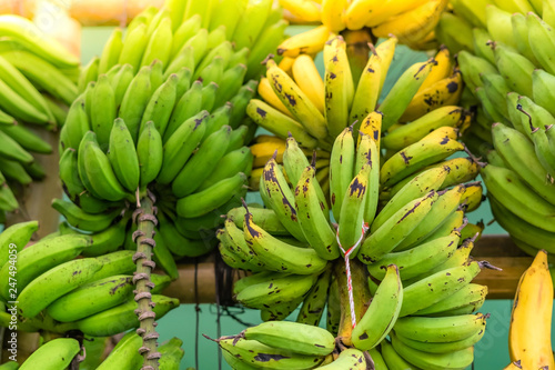 Many kind of bananas are nicely set and displayed for sale.