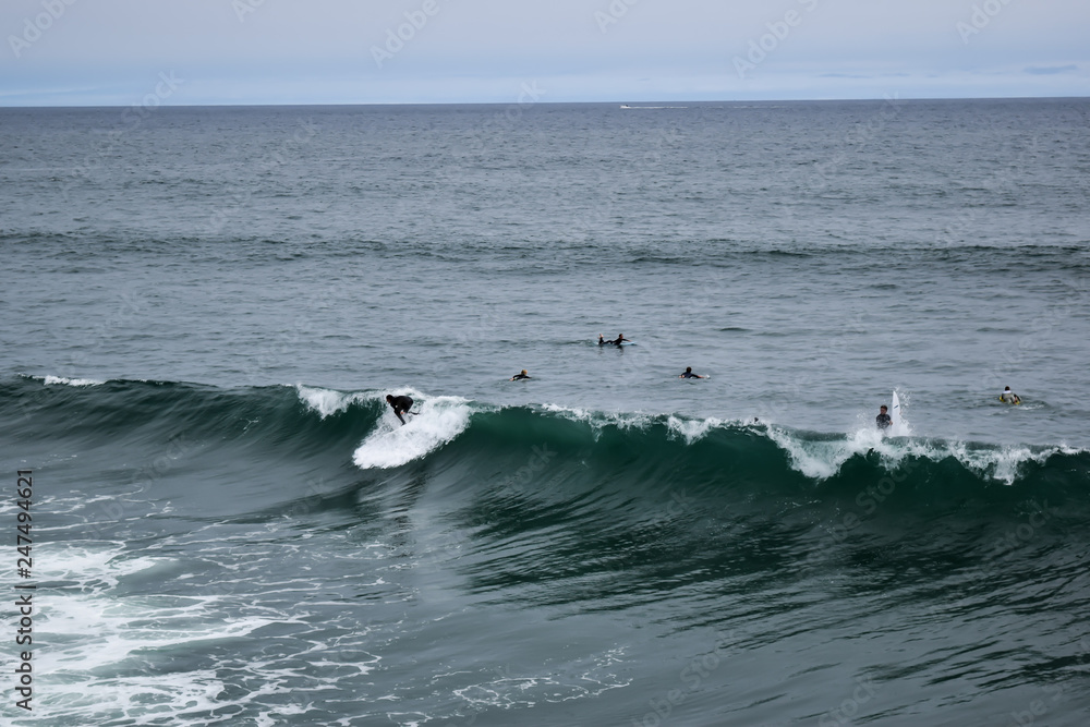 Fototapeta premium Surfer