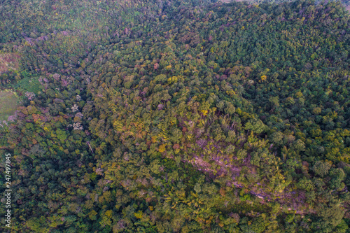 Mountain green tropical forest aerial view © themorningglory