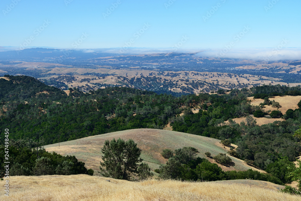 Fototapeta premium Mountain landscape in Mount Diablo State Park, Northern California, USA