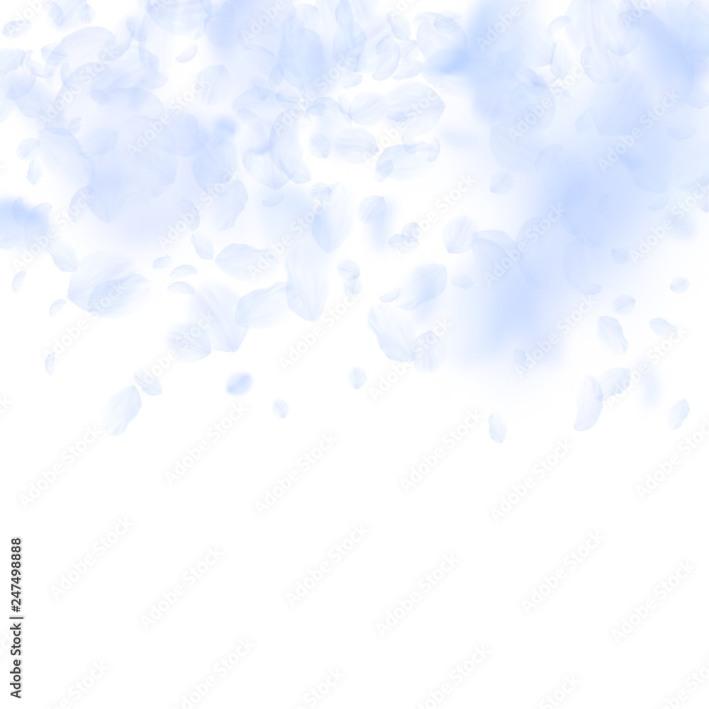 Light blue flower petals falling down. Terrific ro Light blue flower petals falling down. Terrific ro