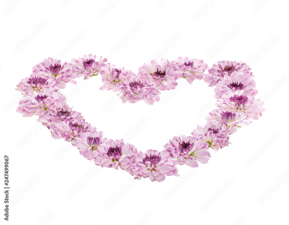 heart made of flowers isolated on white