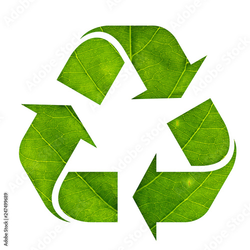 Recycle symbol icon made of green leaf isolated on white background