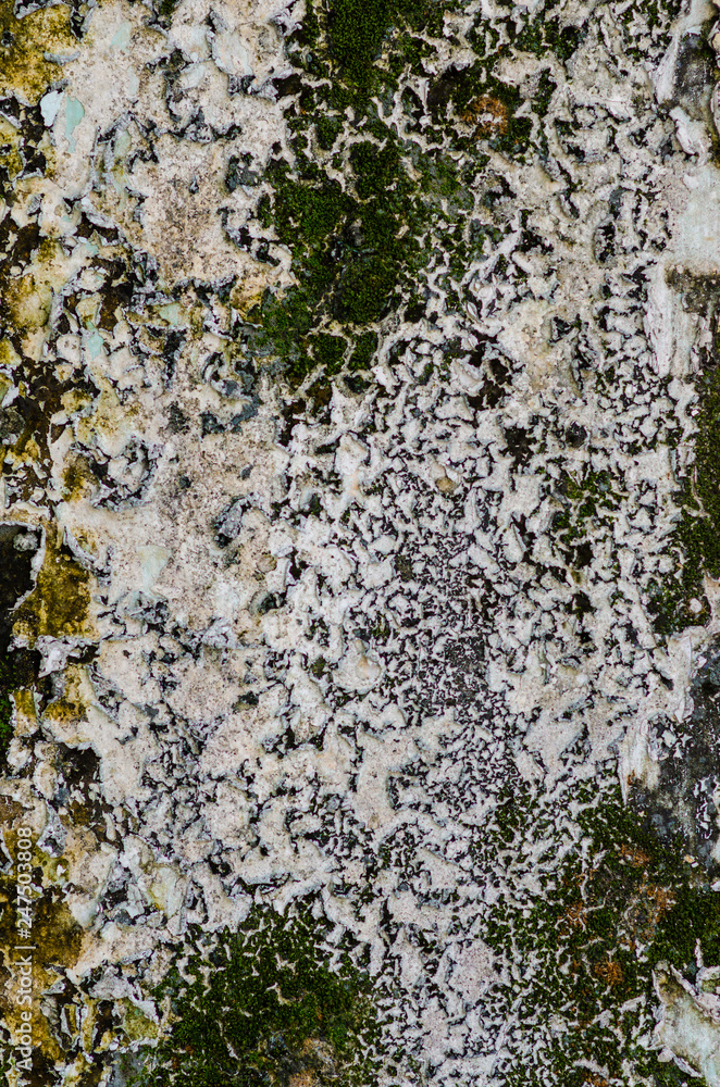 Fototapeta premium Abstract old cement construction texture