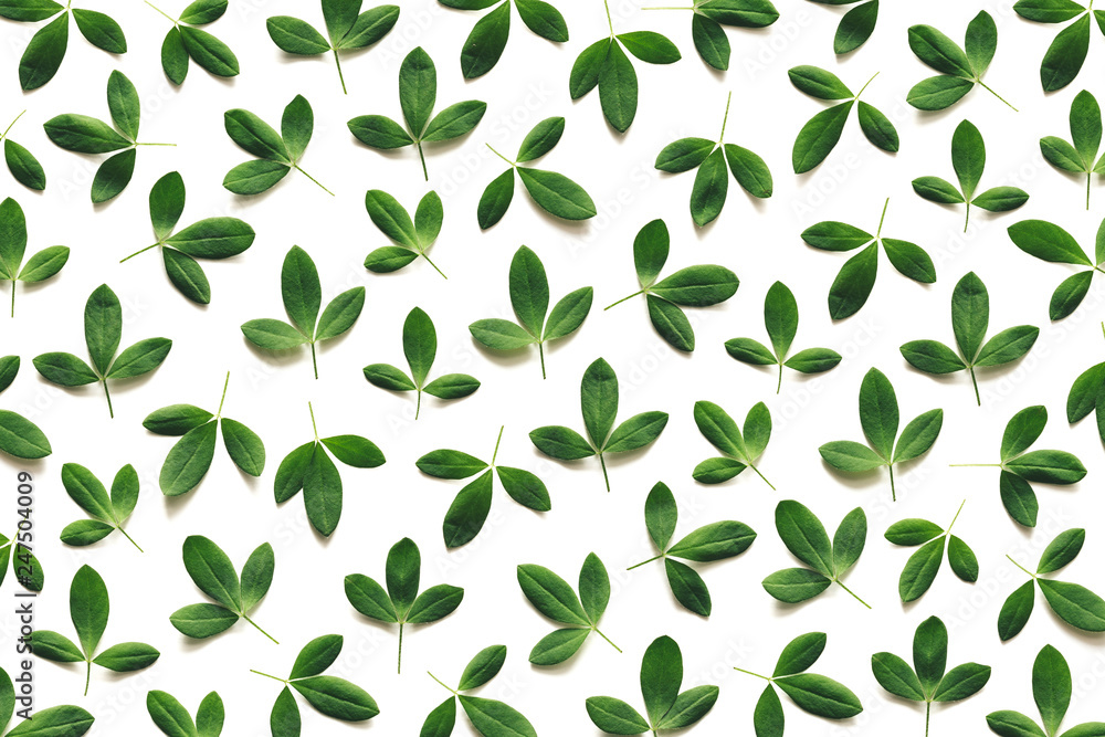 Spring Pattern Made Of Green Leaves Spring Pattern Made Of Green Leaves