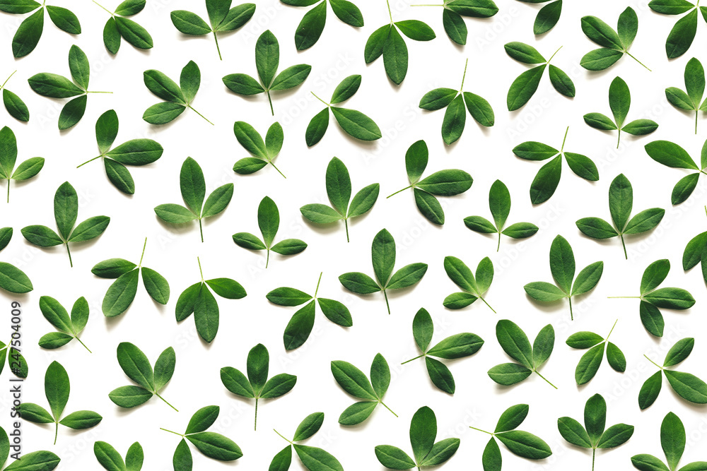 Spring Pattern Made Of Green Leaves