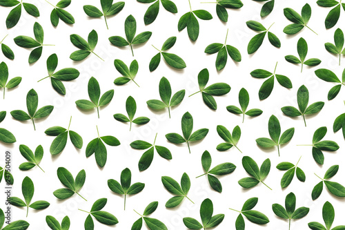 Wallpaper Mural Spring Pattern Made Of Green Leaves Torontodigital.ca