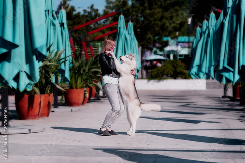 A grey Siberian husky female dog is staying on hind legs close to a young caucasian blond haired girl. A woman wears glasses, grey jeans, black jacket. Turquoise sunshades and ficus in red pots. © Rabinger