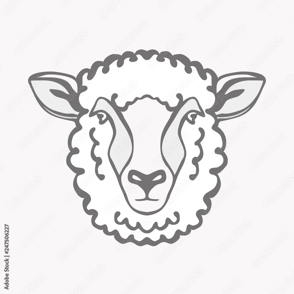 Obraz premium Wektor ilustracji głowy owcy Merino