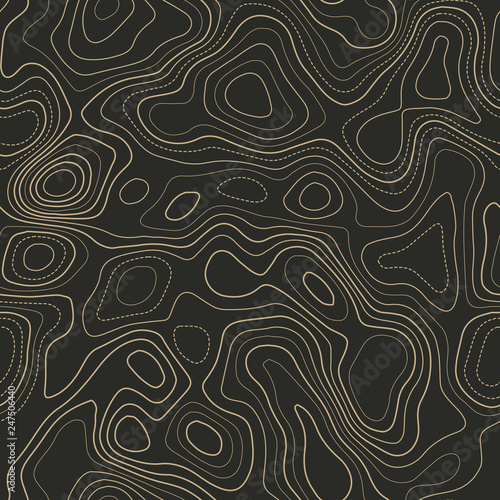 Topographic contours. Actual topography map. Seamless design. Graceful tileable isolines pattern, vector illustration.