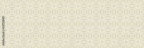 Geometric seamless pattern. White ornament on olive green long background