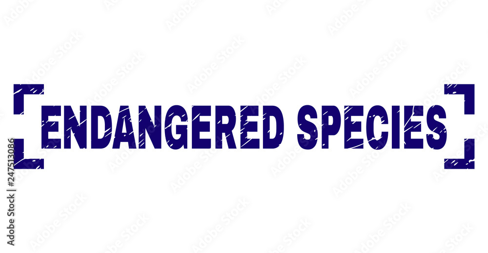 ENDANGERED SPECIES text seal print with distress style. Text caption is placed inside corners. Blue vector rubber print of ENDANGERED SPECIES with scratched texture.