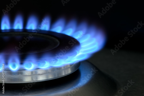 Natural gas burning on kitchen gas stove on black © FedotovAnatoly