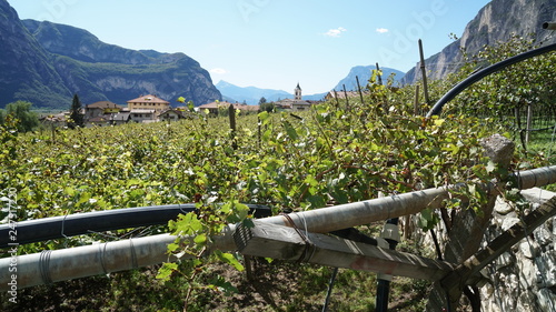 ROVERE' DELLA LUNA - PIANA ROTALIANA - TRENTINO