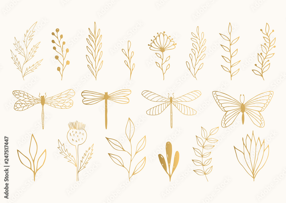 Set of golden herbs, dragonflies and butterfly. Vector summer illustration. Isolated. Hand drawn ink texture. - obrazy, fototapety, plakaty 