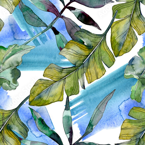 Green leaf. Exotic tropical hawaiian summer. Watercolor background illustrati...