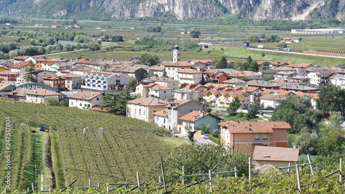 SAN MICHELE ALL'ADIGE - TRENTINO