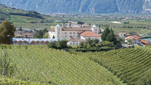 SAN MICHELE ALL'ADIGE - TRENTINO