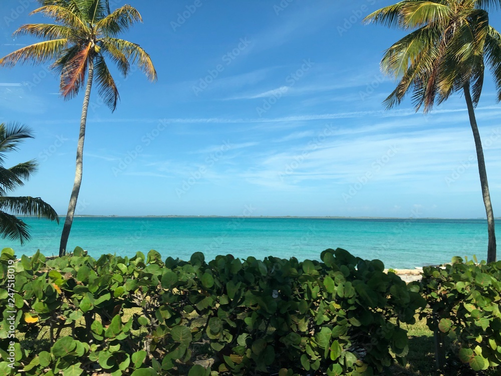 Oceanview from Paradise Island, Bahamas