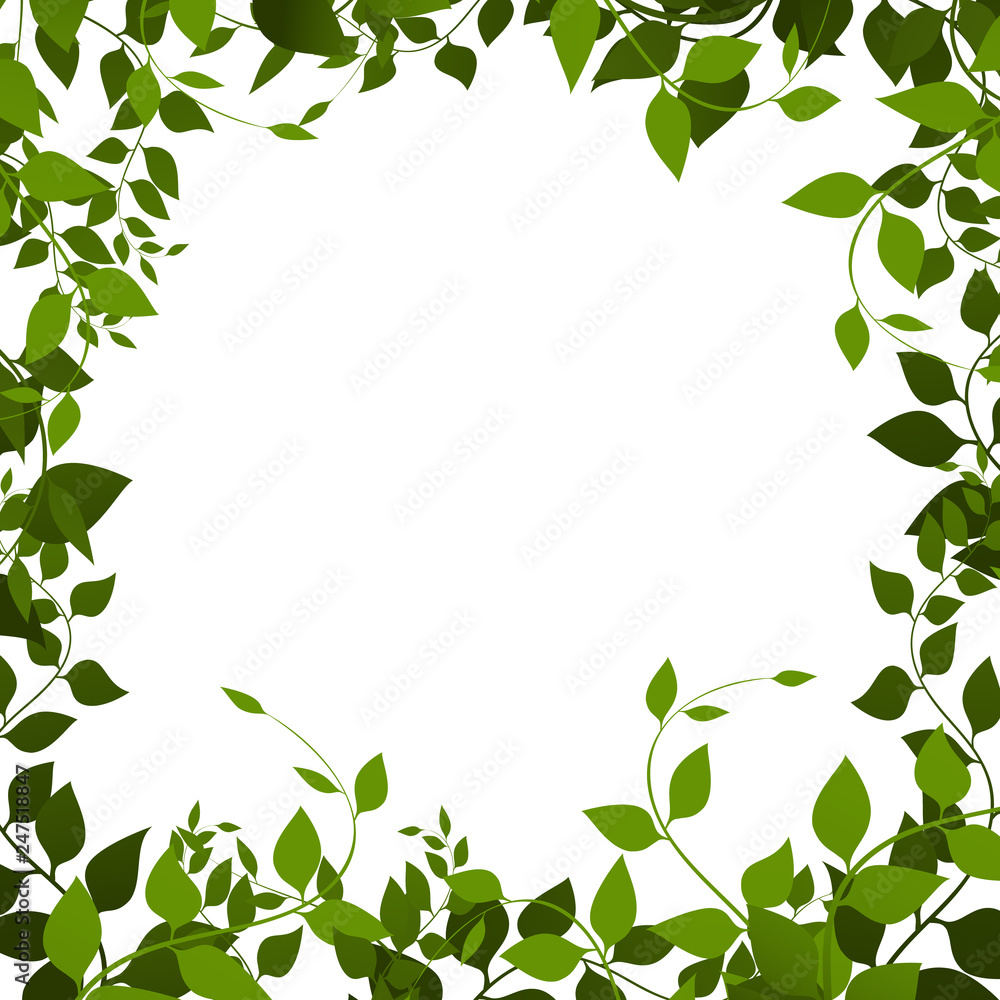 frame from leaves, vector. Foliage