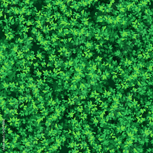 leaves wall, vector.