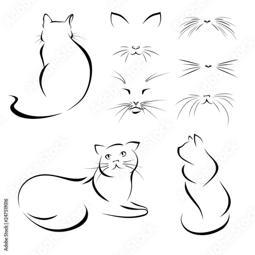 cats. Images of cats, lines. Vector