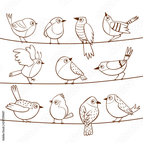 Collection of cute little birds laid on a string. Hand drawn little birds. Vector illustration.