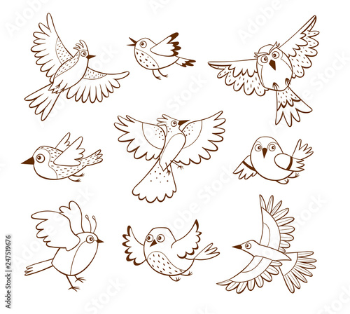 Hand drawn flying birds in different poses, isolated on white background. Vector illustration.
