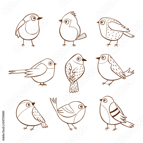 Hand drawn cute little birds in different poses, isolated on white background. Vector illustration.