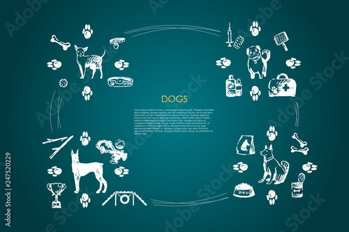 Dogs - different dog breeds with food, bones, collar, footprints, bowl, vet objects vector concept set